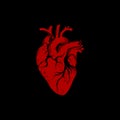 Heart illustration - editable, color can change