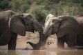 image, elephant playing, ai generative