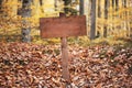 Image of empty road sign on the forest. Royalty Free Stock Photo