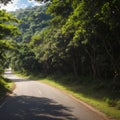 empty road at Taman Nasional Baluran or Baluran National Park, Situbondo, East Java, Indonesia made with Generative AI
