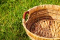 Empty woven basket sitting in field of grass Royalty Free Stock Photo