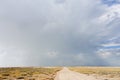 Etosha landscape