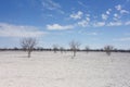 Etosha landscape