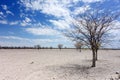 Etosha landscape