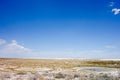 Etosha landscape