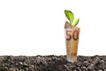 Image of EURO money banknote with plant growing on top for business Royalty Free Stock Photo