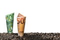 Image of EURO money banknote on top of soil for business