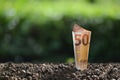 Image of EURO money banknote on top of soil for business