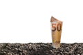 Image of EURO money banknote on top of soil for business