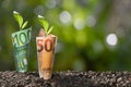 Image of EURO money banknotes with plant growing on top for business Royalty Free Stock Photo