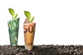 Image of EURO money banknotes with plant growing on top for business Royalty Free Stock Photo