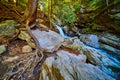 Exposed roots of tree over boulders by cliffs with waterfall into river of lush mossy forest Royalty Free Stock Photo