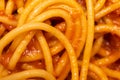 Extreme close-up macro photograph of spaghetti noodles with tomato sauce. Royalty Free Stock Photo