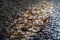 Image of eye glasses casting a shadow on a large group of puzzle pieces Royalty Free Stock Photo