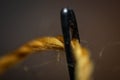 image of the eye of a needle with a cotton thread threaded. macro image, background. Royalty Free Stock Photo