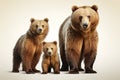 Image of family group of bears on white background. Wildlife Animals. Illustration, Generative AI
