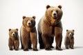 Image of family group of bears on white background. Wildlife Animals. Illustration, Generative AI