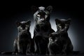 Image of family group of black panther on black background. Wildlife Animals. Illustration, Generative AI