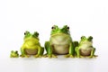 Image of family group green frogs on a white background. Amphibian. illustration. Generative AI