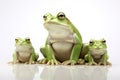 Image of family group green frogs on a white background. Amphibian. illustration. Generative AI