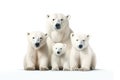 Image of family group of polar bears on white background. Wildlife Animals. Illustration, Generative AI Royalty Free Stock Photo