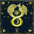 Image of fantastic animal ouroboros with a body of a snake and two heads of a lion and a bird.