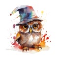 Fantasy watercolor wizard magical owl illustration