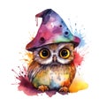 Fantasy watercolor wizard magical owl illustration