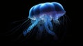 Blue Jellyfish on black background