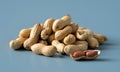 a delightful still life photograph showcasing a generous pile of peanuts, some in their shells and one opened, against a serene bl Royalty Free Stock Photo