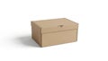 Cardboard shoe box isolated on white background Royalty Free Stock Photo