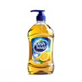 Dish Soap Bottle with Lemon Scent Clear Plastic Container No Background Clipping Path Royalty Free Stock Photo