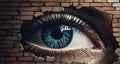 Human eye and broken brick wall, concept of spying and invasion of privacy