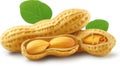 Peanuts with leaves shelled and unshelled. Royalty Free Stock Photo