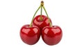 Three cherries isolated on white background Royalty Free Stock Photo