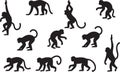 Collection of diverse monkey silhouettes in various poses isolated on transparent background vector graphics art images design Royalty Free Stock Photo