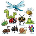 Colorful cartoon bugs isolated on white background Royalty Free Stock Photo