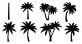 Collection of Black Palm Tree Silhouettes on White Background Royalty Free Stock Photo