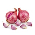 Shallots isolated on white background Royalty Free Stock Photo