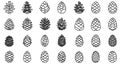 Minimalist black outline forest cone pictogram set Royalty Free Stock Photo