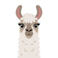 Cute Cartoon Llama Face Vector Art for Kids Decor and Merchandise Royalty Free Stock Photo