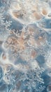 Winter Wonderland. A gentle snowflake background with intricate ice patterns on a soft backdrop concept Royalty Free Stock Photo