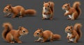 Six adorable 3D rendered red squirrel poses Royalty Free Stock Photo