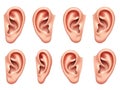 Eight human ear illustrations isolated on white background Royalty Free Stock Photo