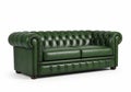 Elegant green leather chesterfield sofa Royalty Free Stock Photo