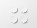 Four circular objects isolated on white background Royalty Free Stock Photo