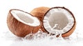 The image features fresh coconuts, a splash of water, and a leaf, all set on a clean white background Royalty Free Stock Photo