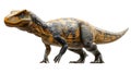 Full-Body Side Profile of a Pachycephalosaurus Royalty Free Stock Photo