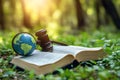 Globe and Gavel on Open Book in a Green Nature Background Royalty Free Stock Photo