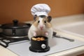 Hamster Chef Cooking with Miniature Frying Pan